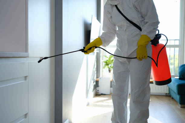 Crawl Space Mold Removal in Dresden, TN