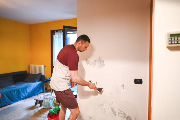 Best Mold Removal Specialists  in Dresden, TN