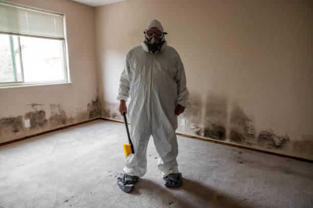 Best Attic Mold Removal  in Dresden, TN